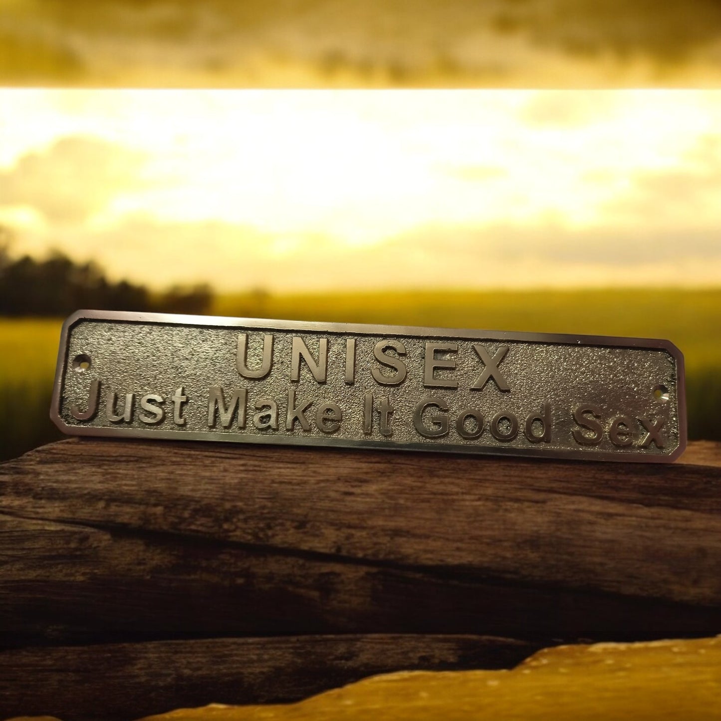 Custom Cast Brass Name Plate – Personalized Brushed Gold Door Sign | Solid Brass Plaque for Home or Office